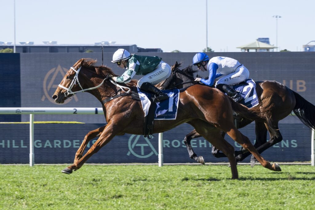 Two jockeys race side by side on horseback during a daytime turf horse race on a grassy track, close to the finish line in the foreground.