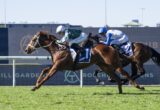 Two jockeys race side by side on horseback during a daytime turf horse race on a grassy track, close to the finish line in the foreground.