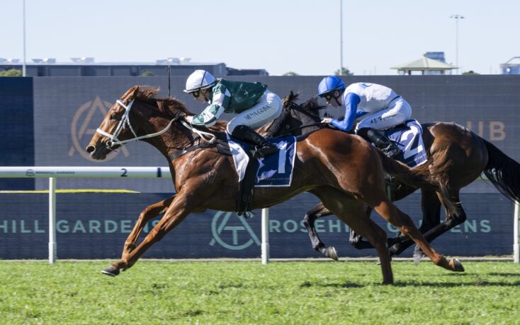 Two jockeys race side by side on horseback during a daytime turf horse race on a grassy track, close to the finish line in the foreground.