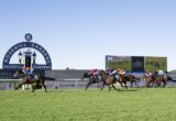 Horse race at Rosehill Gardens with jockeys on galloping horses and a large scoreboard in the background