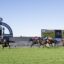 Horse race at Rosehill Gardens with jockeys on galloping horses and a large scoreboard in the background