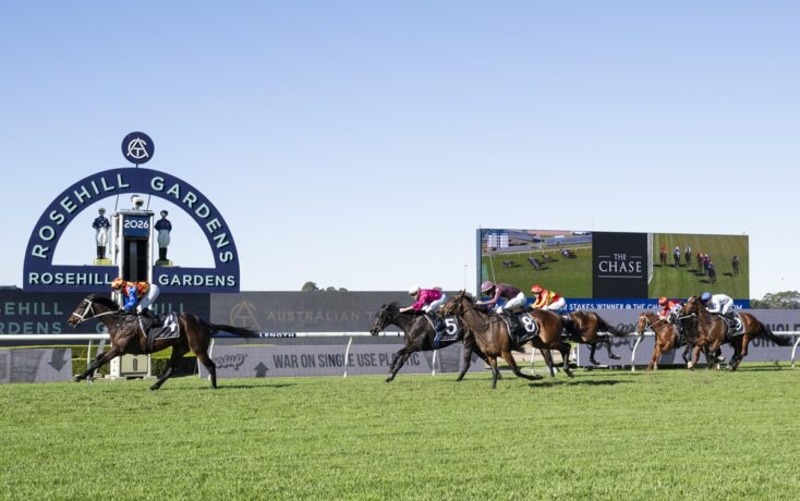 Horse race at Rosehill Gardens with jockeys on galloping horses and a large scoreboard in the background
