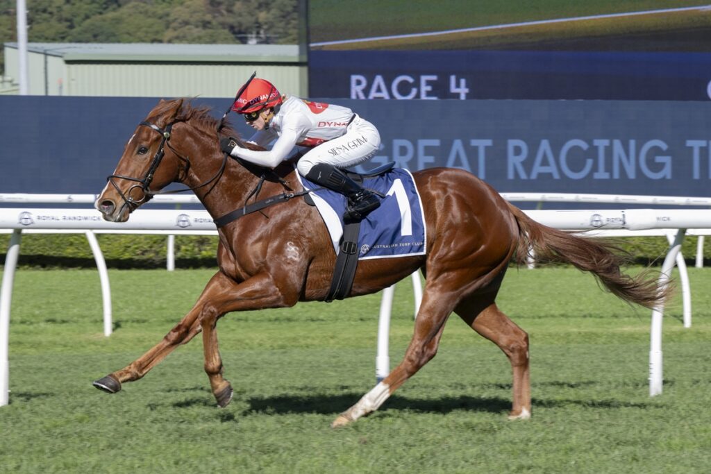 2328454.jpg | Just Horse Racing Chestnut racehorse and jockey in white silks and red helmet sprinting on a turf track, with a large RACE 4 sign in the background.