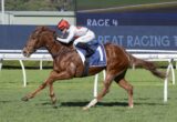 Chestnut racehorse and jockey in white silks and red helmet sprinting on a turf track, with a large RACE 4 sign in the background.