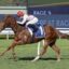 Chestnut racehorse and jockey in white silks and red helmet sprinting on a turf track, with a large RACE 4 sign in the background.