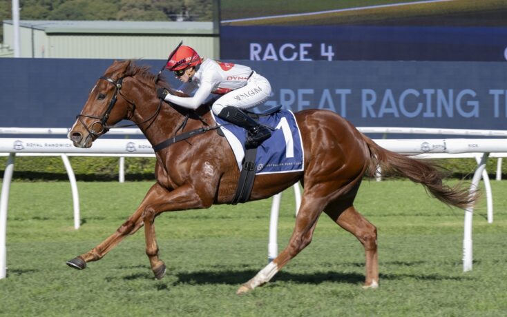 Chestnut racehorse and jockey in white silks and red helmet sprinting on a turf track, with a large RACE 4 sign in the background.