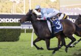 Two jockeys race on galloping horses on a green turf track; front horse has a blue number 3 saddlecloth.
