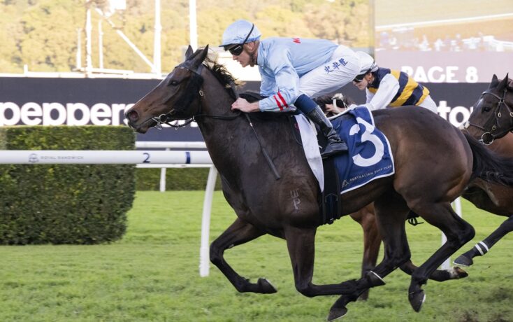 Two jockeys race on galloping horses on a green turf track; front horse has a blue number 3 saddlecloth.