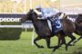 Two jockeys race on galloping horses on a green turf track; front horse has a blue number 3 saddlecloth.