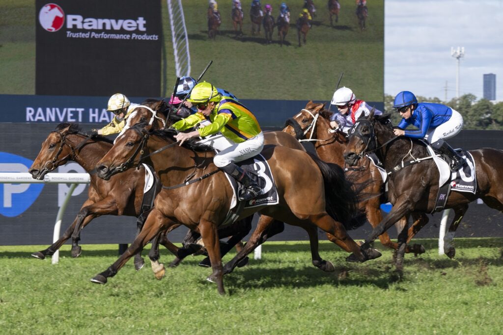 2332014.jpg | Just Horse Racing Group of thoroughbreds racing at full speed on a green track, leading jockeys in bright silks hanging from their mounts near the finish line.