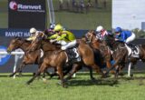 Group of thoroughbreds racing at full speed on a green track, leading jockeys in bright silks hanging from their mounts near the finish line.