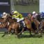 Group of thoroughbreds racing at full speed on a green track, leading jockeys in bright silks hanging from their mounts near the finish line.