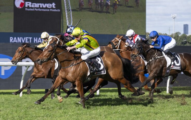 Group of thoroughbreds racing at full speed on a green track, leading jockeys in bright silks hanging from their mounts near the finish line.