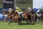 Group of thoroughbreds racing at full speed on a green track, leading jockeys in bright silks hanging from their mounts near the finish line.