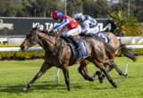 Two jockeys in colorful silks ride racing horses neck-and-neck on a sunny turf track.