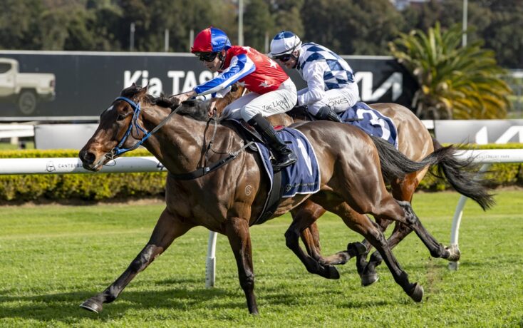 Two jockeys in colorful silks ride racing horses neck-and-neck on a sunny turf track.