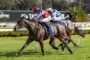 Two jockeys in colorful silks ride racing horses neck-and-neck on a sunny turf track.