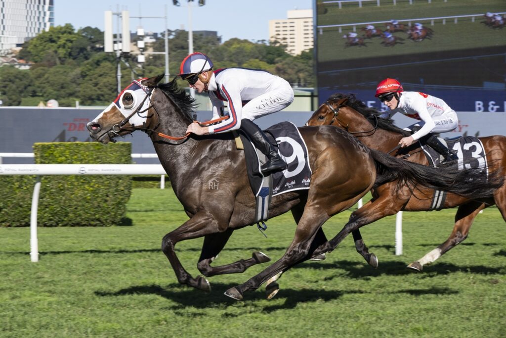 2335649.jpg | Just Horse Racing
