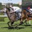 2335649.jpg | Just Horse Racing