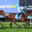Two jockeys ride galloping horses during a race at Caulfield, with a large blue 'sportsbet' sign in the background.