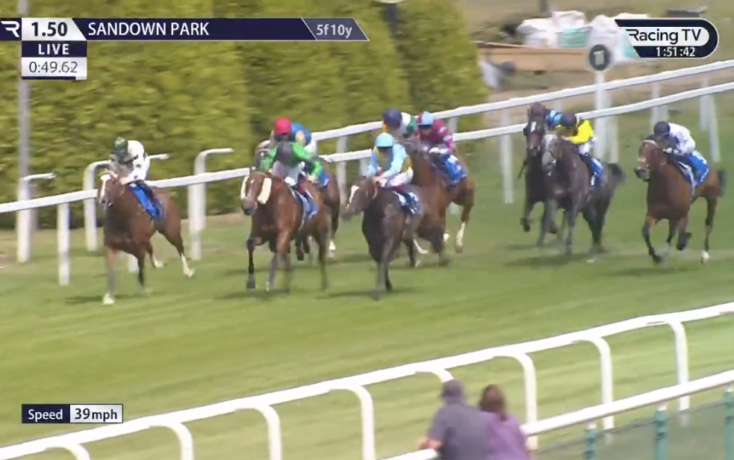 Horses race along the Sandown Park turf track with colorful jockey silks; live Racing TV overlay and a 39 mph speed readout.