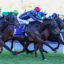 Jockeys in colorful silks ride racing horses at full gallop on a track near the rails.