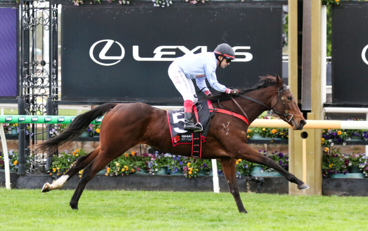 Jockey wearing a helmet on a brown horse racing on a grassy track with a Lexus banner in the background.