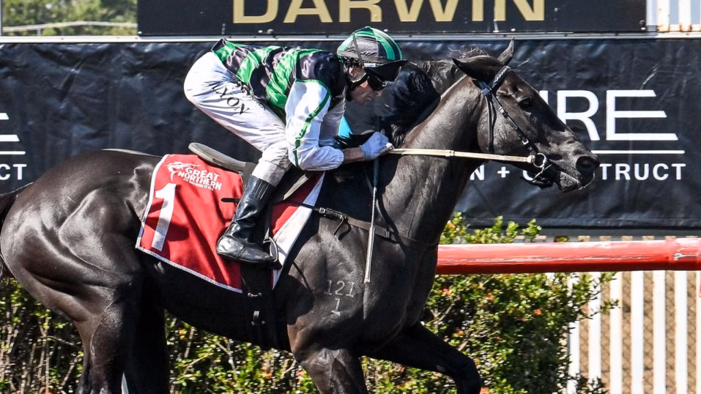 Balastier | Just Horse Racing