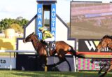 Jockey in neon green silks rides a brown horse over a hurdle at a sunny racecourse with a large scoreboard in the background.