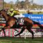 Jockey in neon green and purple silks rides a brown horse at full gallop along a racetrack with blue advertising banners in the background.
