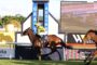 Jockey in neon green silks rides a brown horse over a hurdle at a sunny racecourse with a large scoreboard in the background.