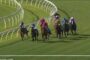 Group of jockeys on colorful silks racing around a curve on a grass track with white railings.