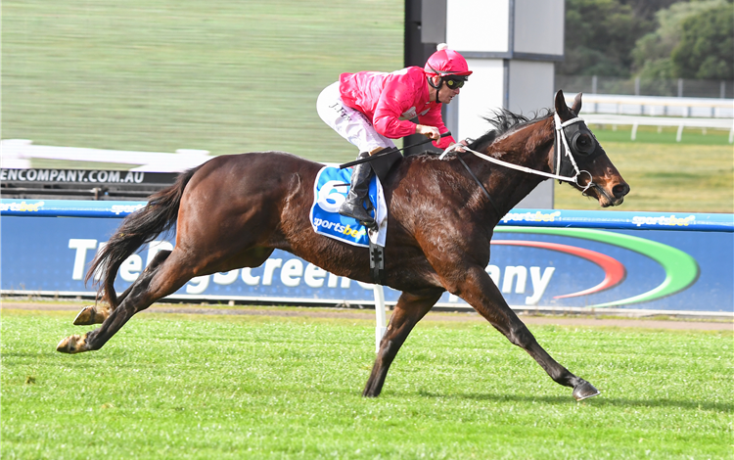 Jockey in pink silks riding a dark brown racehorse at full gallop on a grassy track with a blue rail in the background, number 6 visible on the saddlecloth.