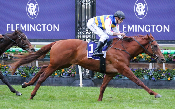 Jockey riding a brown horse during a race with a purple Flemington banner in the background