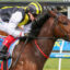 Two jockeys ride a brown horse during a race, one in yellow and black silks leaning forward as they sprint past a rail barrier.