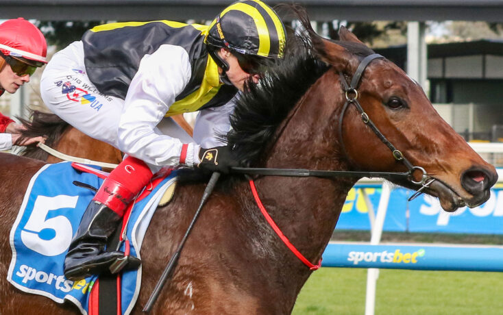 Two jockeys ride a brown horse during a race, one in yellow and black silks leaning forward as they sprint past a rail barrier.