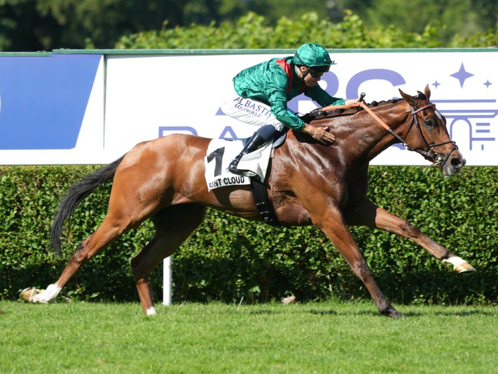 Calandagan | Just Horse Racing