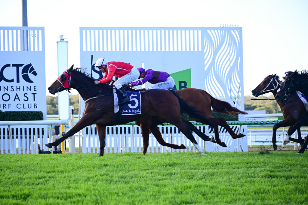 Jockeys race horses on a bright track, foreground horse wearing red cap and blue saddle cloth marked 5, crowdless grandstands in background.