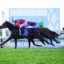 Jockeys race horses on a bright track, foreground horse wearing red cap and blue saddle cloth marked 5, crowdless grandstands in background.