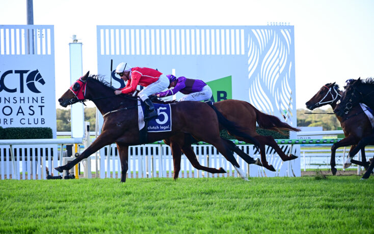 Jockeys race horses on a bright track, foreground horse wearing red cap and blue saddle cloth marked 5, crowdless grandstands in background.