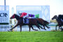 Jockeys race horses on a bright track, foreground horse wearing red cap and blue saddle cloth marked 5, crowdless grandstands in background.