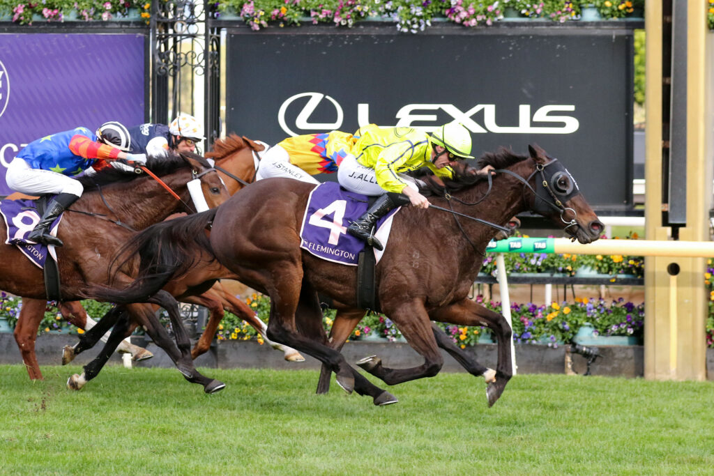 Jockeys and horses racing neck-and-neck on a green turf track, colorful silks flying as they push toward the finish.