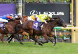Jockeys and horses racing neck-and-neck on a green turf track, colorful silks flying as they push toward the finish.
