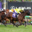 Jockeys and horses racing neck-and-neck on a green turf track, colorful silks flying as they push toward the finish.