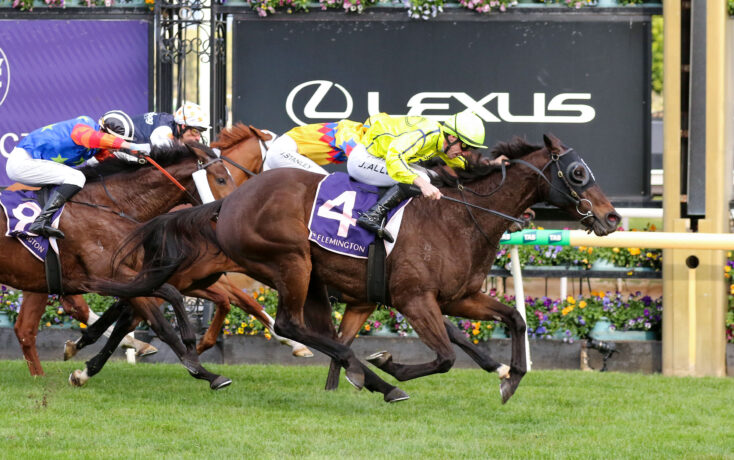 Jockeys and horses racing neck-and-neck on a green turf track, colorful silks flying as they push toward the finish.