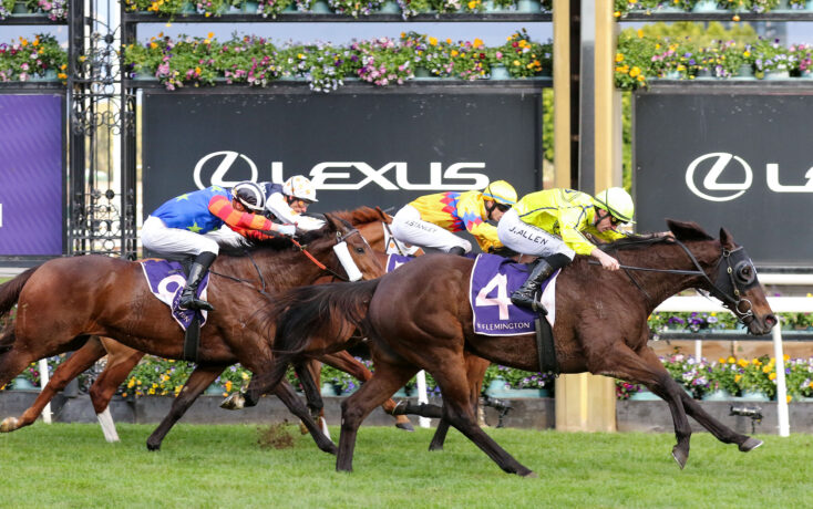 Group of racehorses and jockeys sprinting on a track with a Lexus banner in the background and colorful silks on riders.