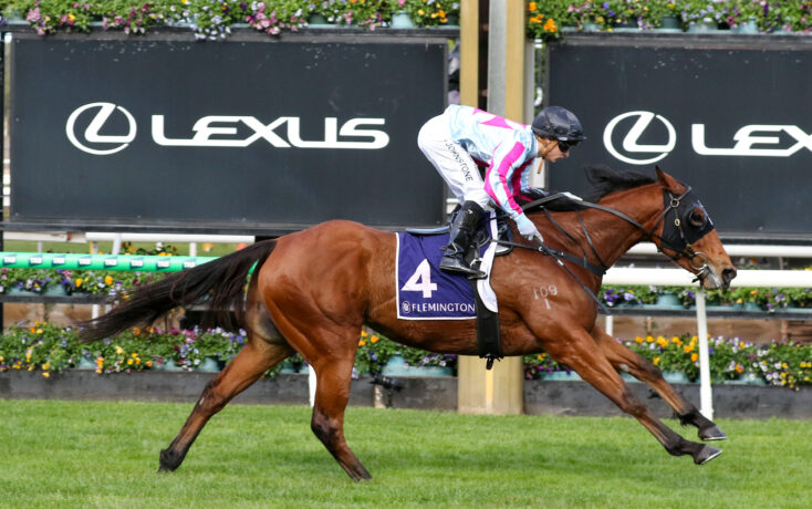 Jockey in pink and white silks rides a brown horse at full gallop on a racecourse, with a Lexus signboard and flower planters in the background.