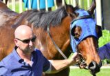 Man wearing sunglasses holds the horse by the bridle, standing outdoors beside a brown horse with a blue halter/face mask.