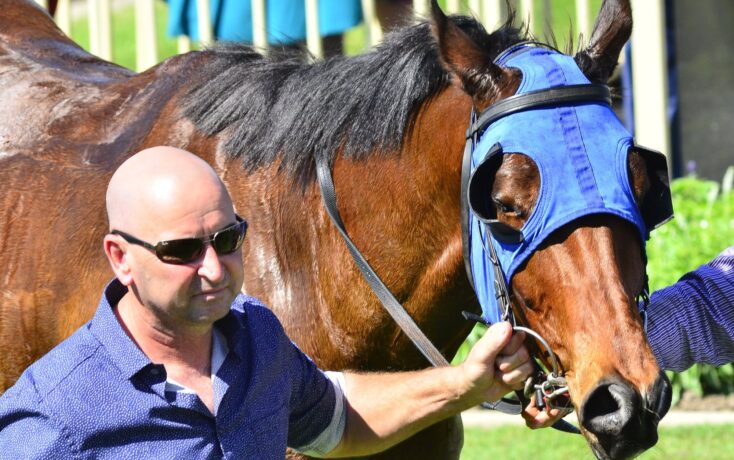 Man wearing sunglasses holds the horse by the bridle, standing outdoors beside a brown horse with a blue halter/face mask.