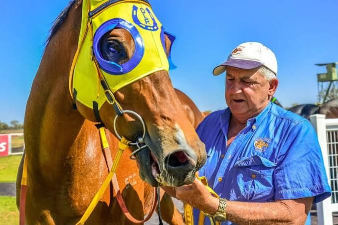 Trainer in a blue shirt and white cap tends to a brown racehorse wearing a bright yellow bridle and blue eye protection on a sunny day.